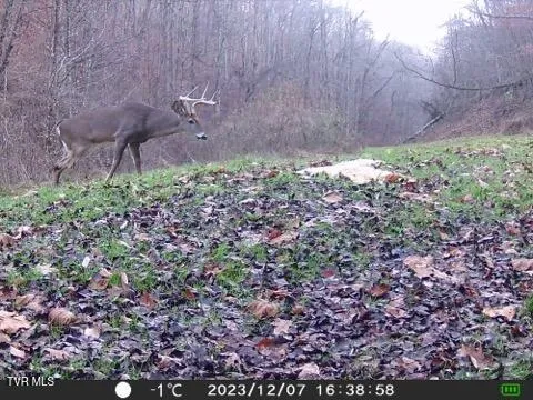 $378,000 | 5367 Clinch River Highway, Gate City, VA 24251