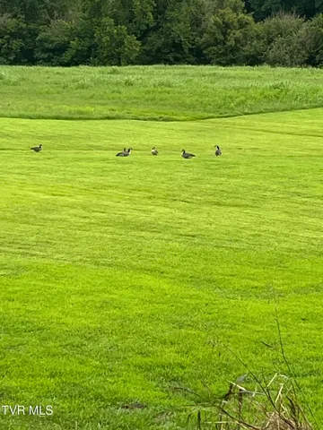 $378,000 | 5367 Clinch River Highway, Gate City, VA 24251