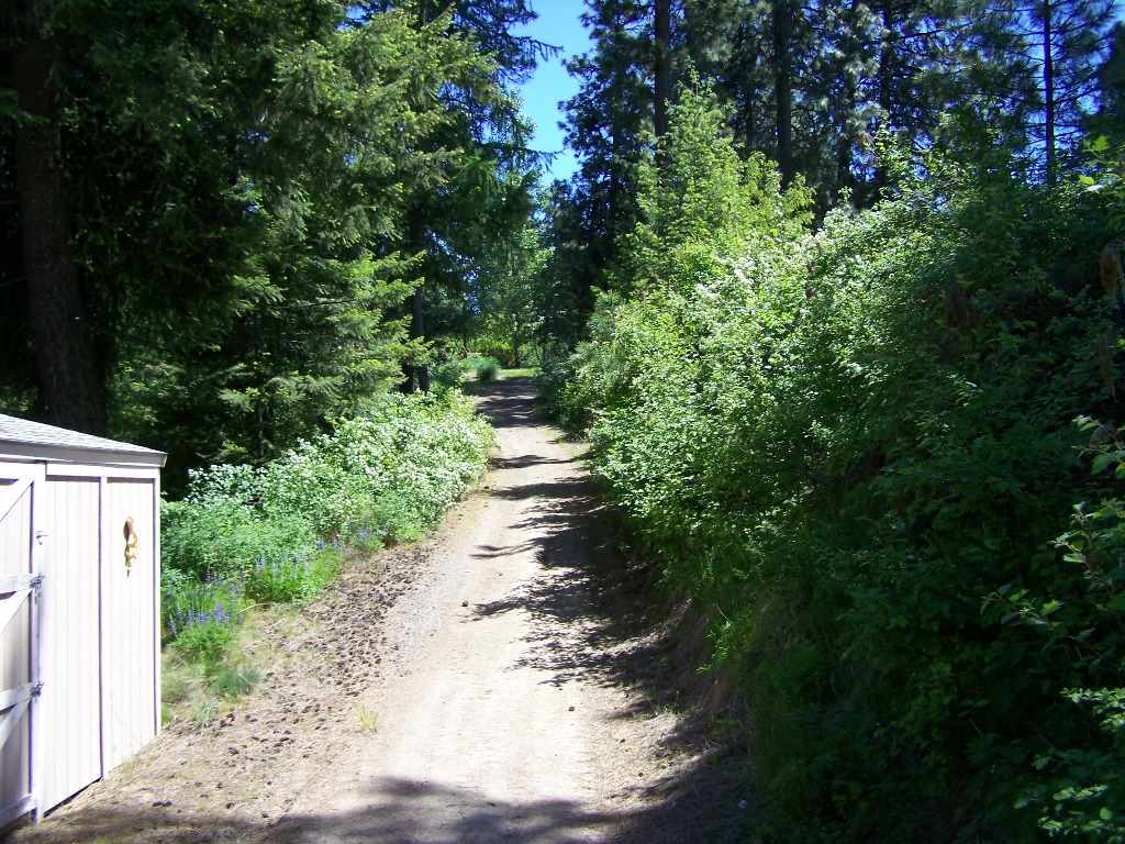17229 East Temple Road Spokane, WA 99217 - Photo 16 of 20 Gallery Image 16