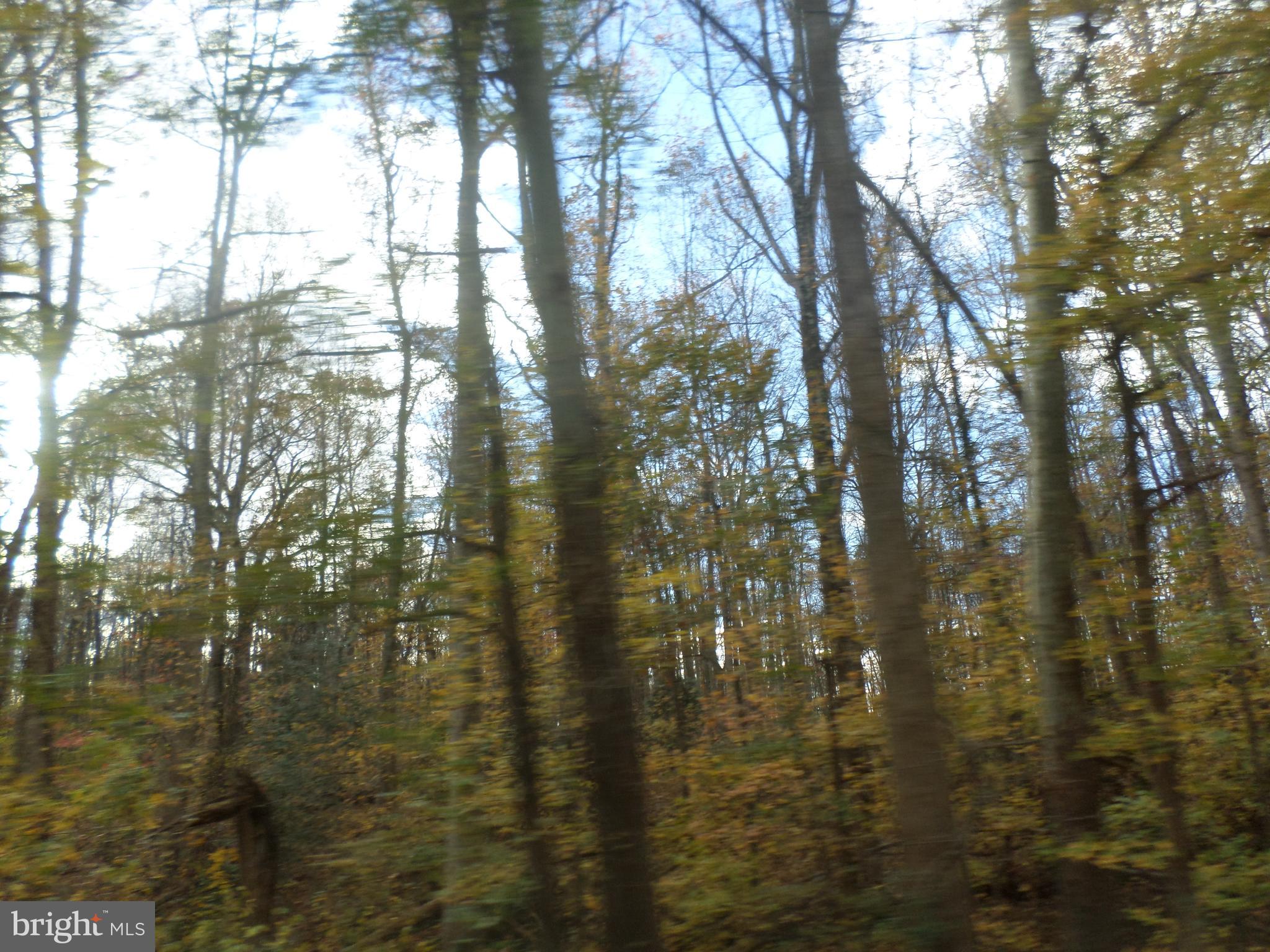 Stuart Road Kinsale, VA 22488 - Photo 2 of 2 Gallery Image 2