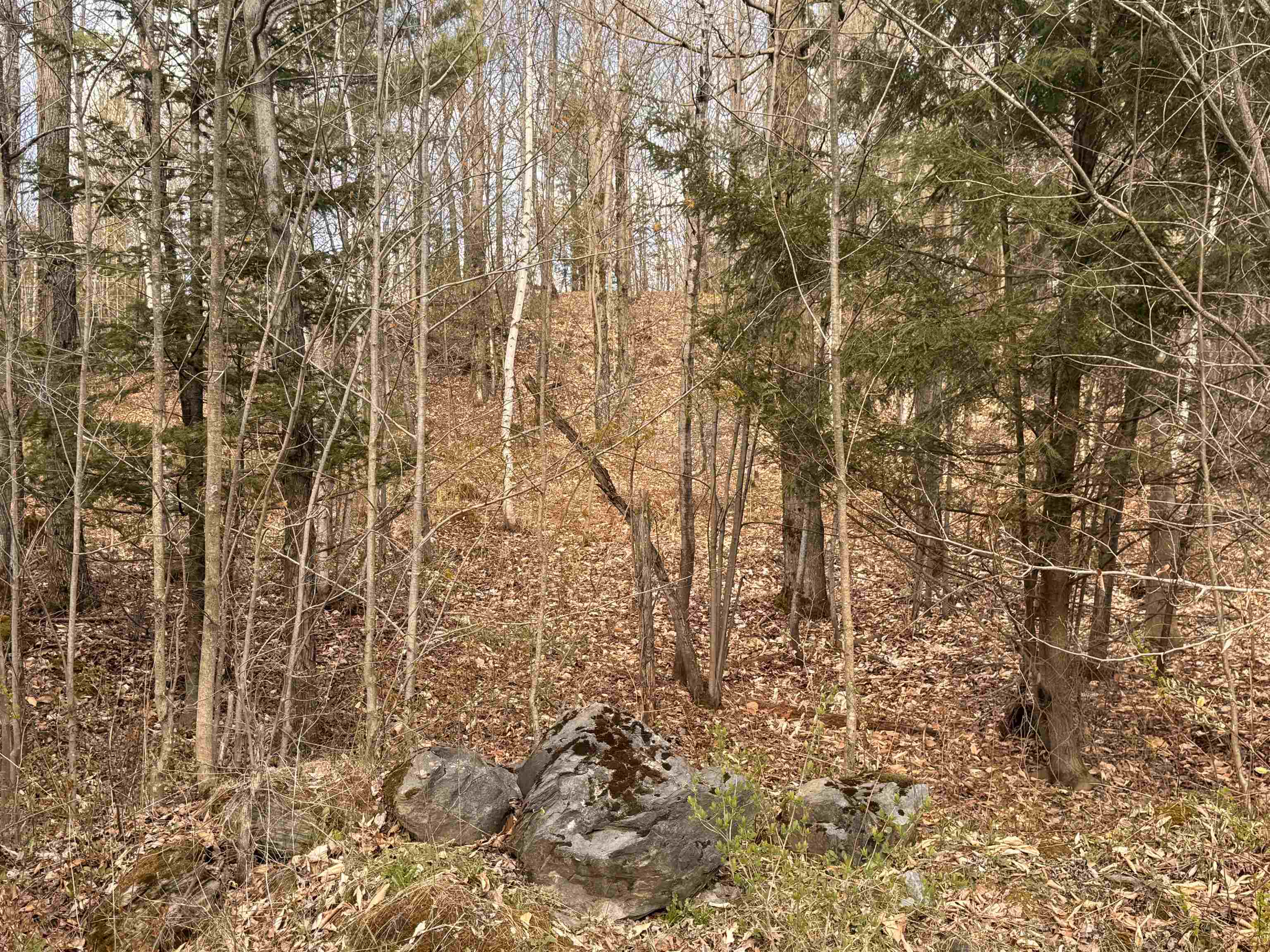 3 A Reservoir Road Berkshire, VT 05450 - Photo 4 of 4