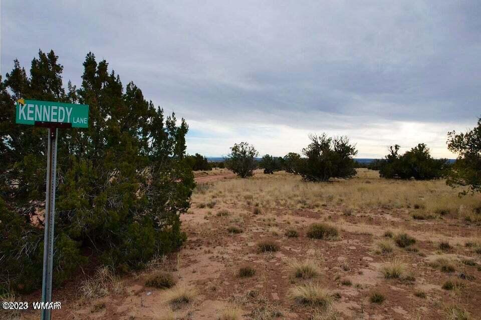 River River Meadows Ranch Concho, AZ 85924 - Photo 3 of 6