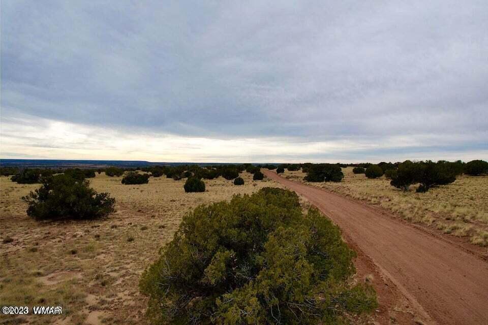 River River Meadows Ranch Concho, AZ 85924 - Photo 4 of 6