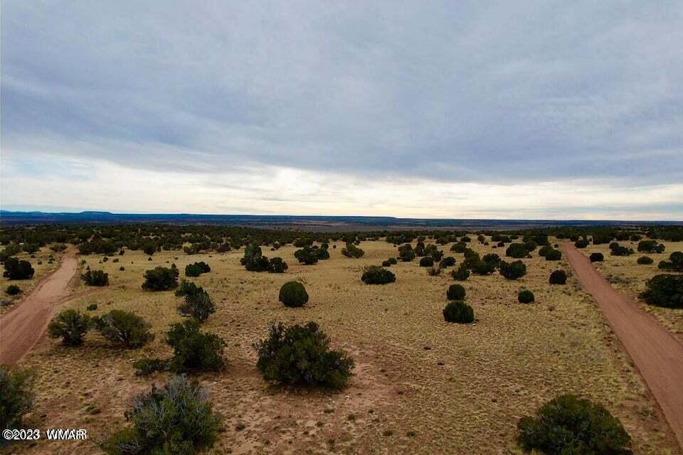 River River Meadows Ranch Concho, AZ 85924 - Photo 6 of 6