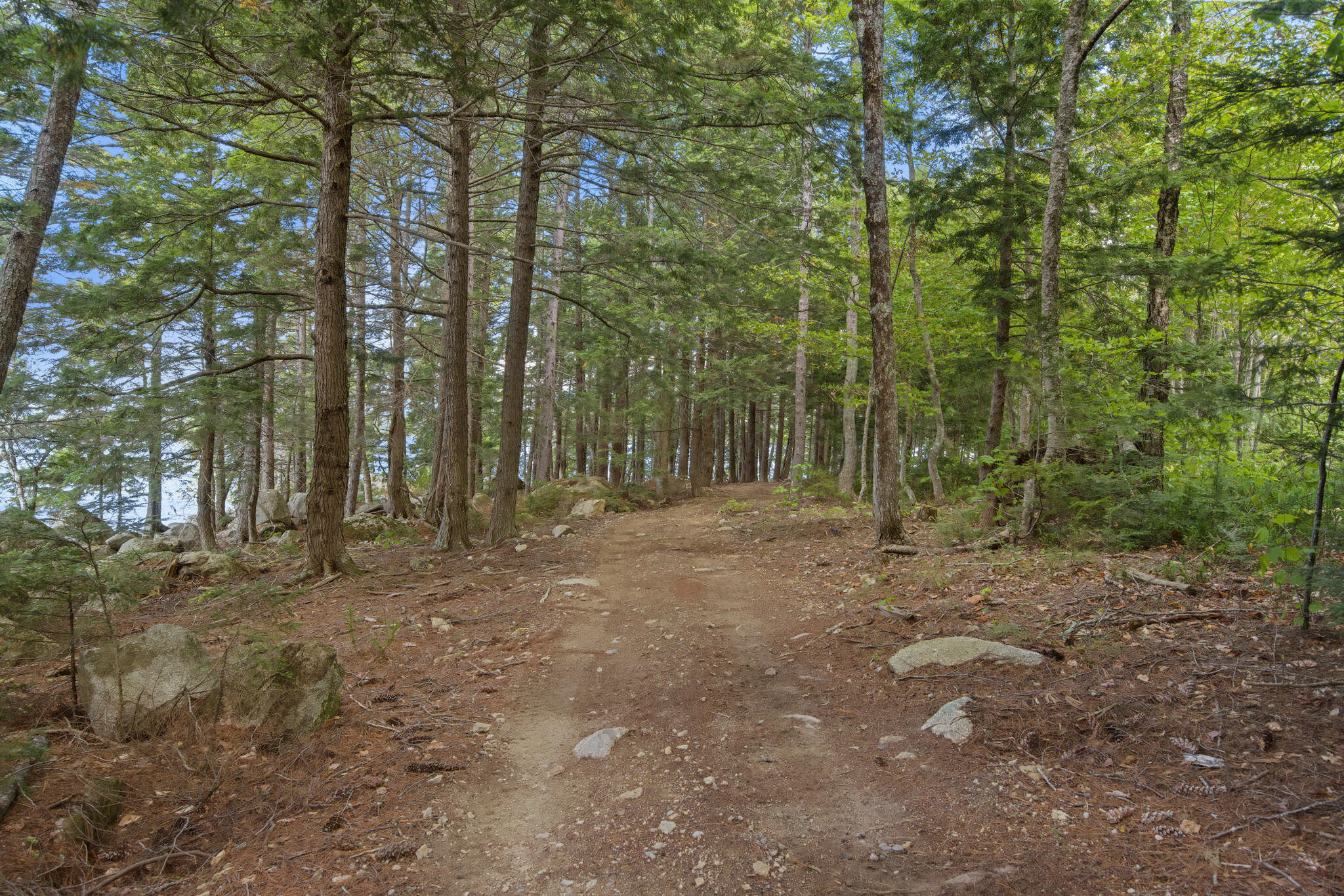 49 Map Pi010 Plan 11 Millinocket, ME 04462 - Photo 43 of 71 Island Path