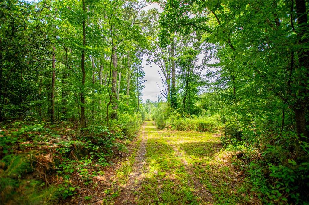 0 Lindsey Lake Road Dallas, GA 30157 - Photo 6 of 46