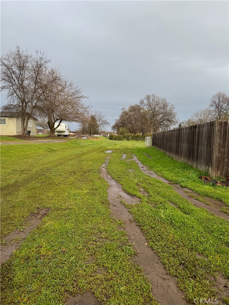 8220 Marek Road Los Molinos, CA 96055 - Photo 23 of 27 a view of a field with an trees in front of it