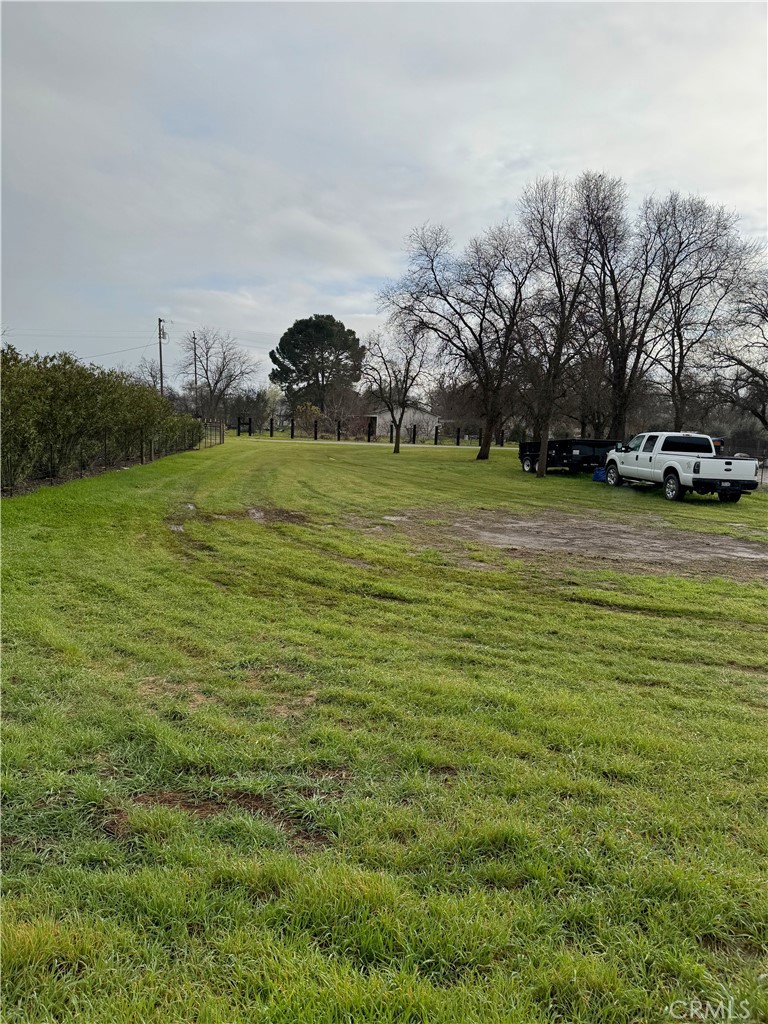 8220 Marek Road Los Molinos, CA 96055 - Photo 24 of 27 a view of a field with trees