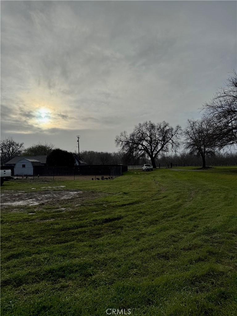 8220 Marek Road Los Molinos, CA 96055 - Photo 25 of 27 a view of a grassy field with an trees