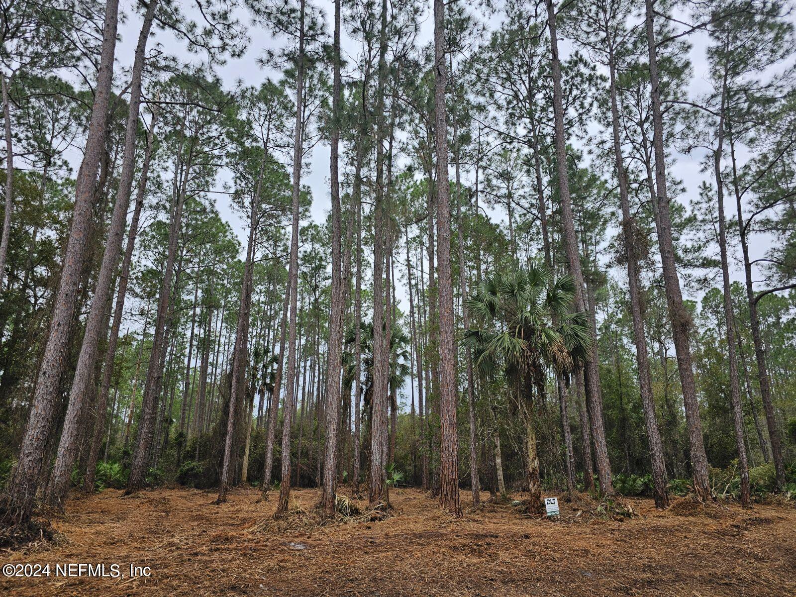 211 4th Street Georgetown, FL 32139 - Photo 2 of 3 a view of a park with large trees
