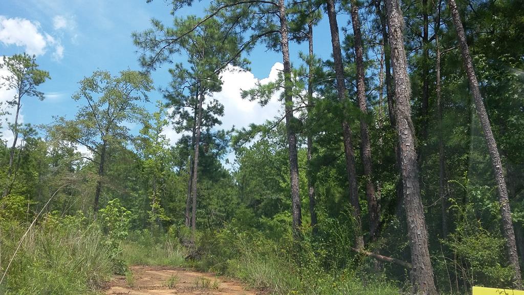 0 Moore Circle Abbeville, AL 36310 - Photo 1 of 3
