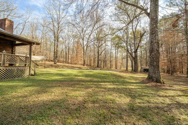 a view of a yard with a tree
