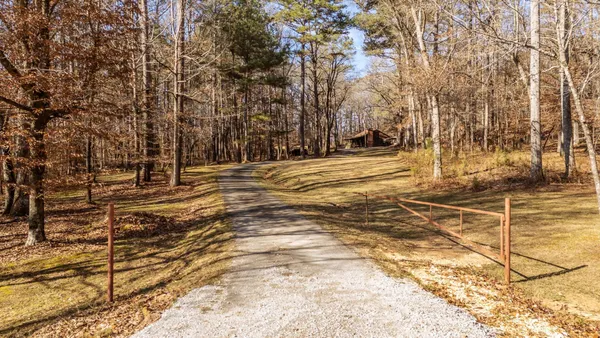 a view of a yard with trees