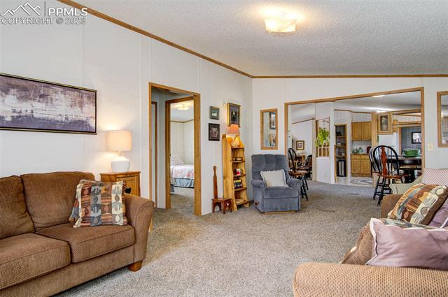 30585 Hillside Road Pueblo, CO 81006 - Photo 13 of 28 Gallery Image 13