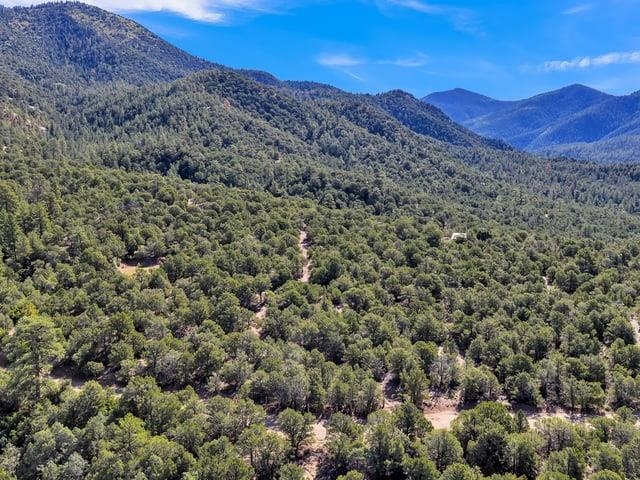 Lot 83 Upper Pinabete Road Questa, NM 87556 - Photo 9 of 11