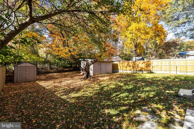 a backyard of a house with a yard and large tree