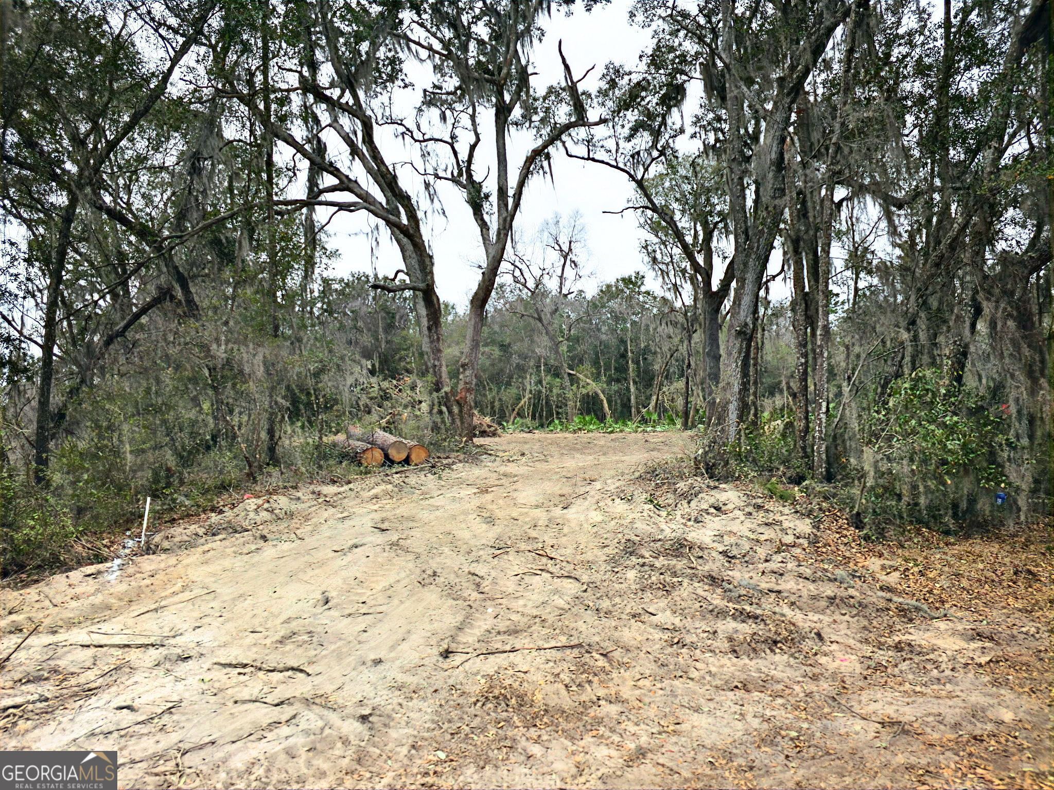 2139 Susie Baker Road Northeast Townsend, GA 31331 - Photo 4 of 6