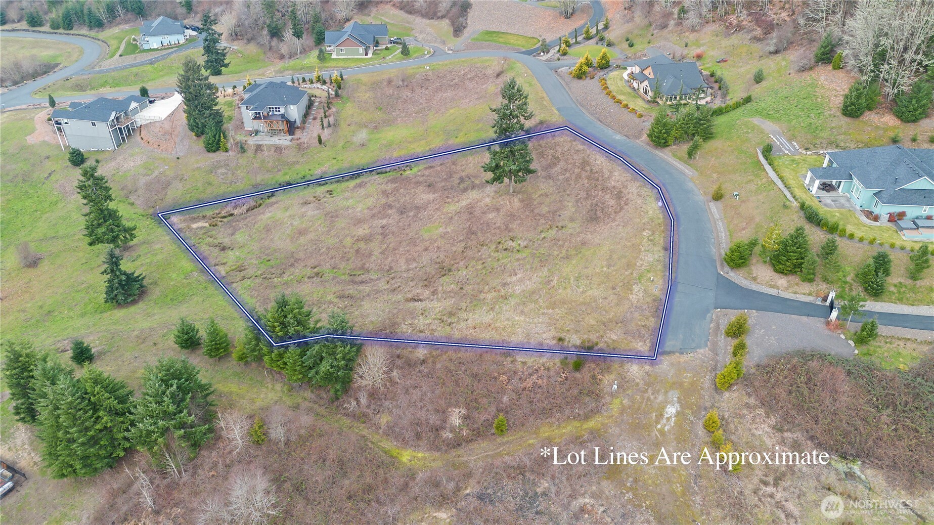 202 Windy River Road Kalama, WA 98625 - Photo 2 of 12 view of a house with a yard