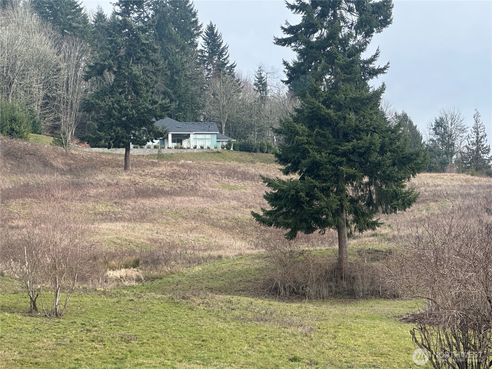202 Windy River Road Kalama, WA 98625 - Photo 7 of 12 a view of a outdoor space