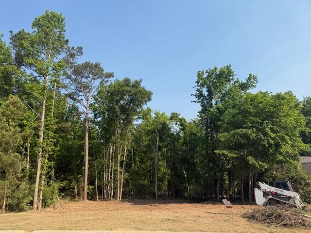 521 Stirling Bridge Road Grovetown, GA 30813 - Photo 8 of 10 IMG_3462