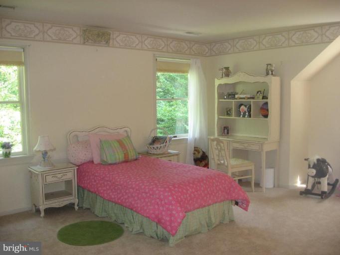 1110 Timber Trail Road Towson, MD 21286 - Photo 17 of 29 Bright & cheerful bedroom with large closet
