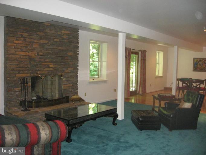 1110 Timber Trail Road Towson, MD 21286 - Photo 23 of 29 2nd fireplace in finished lower level