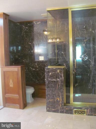 1110 Timber Trail Road Towson, MD 21286 - Photo 6 of 29 STEAM SHOWERWITH SEAMLESS SOLID GLASS
