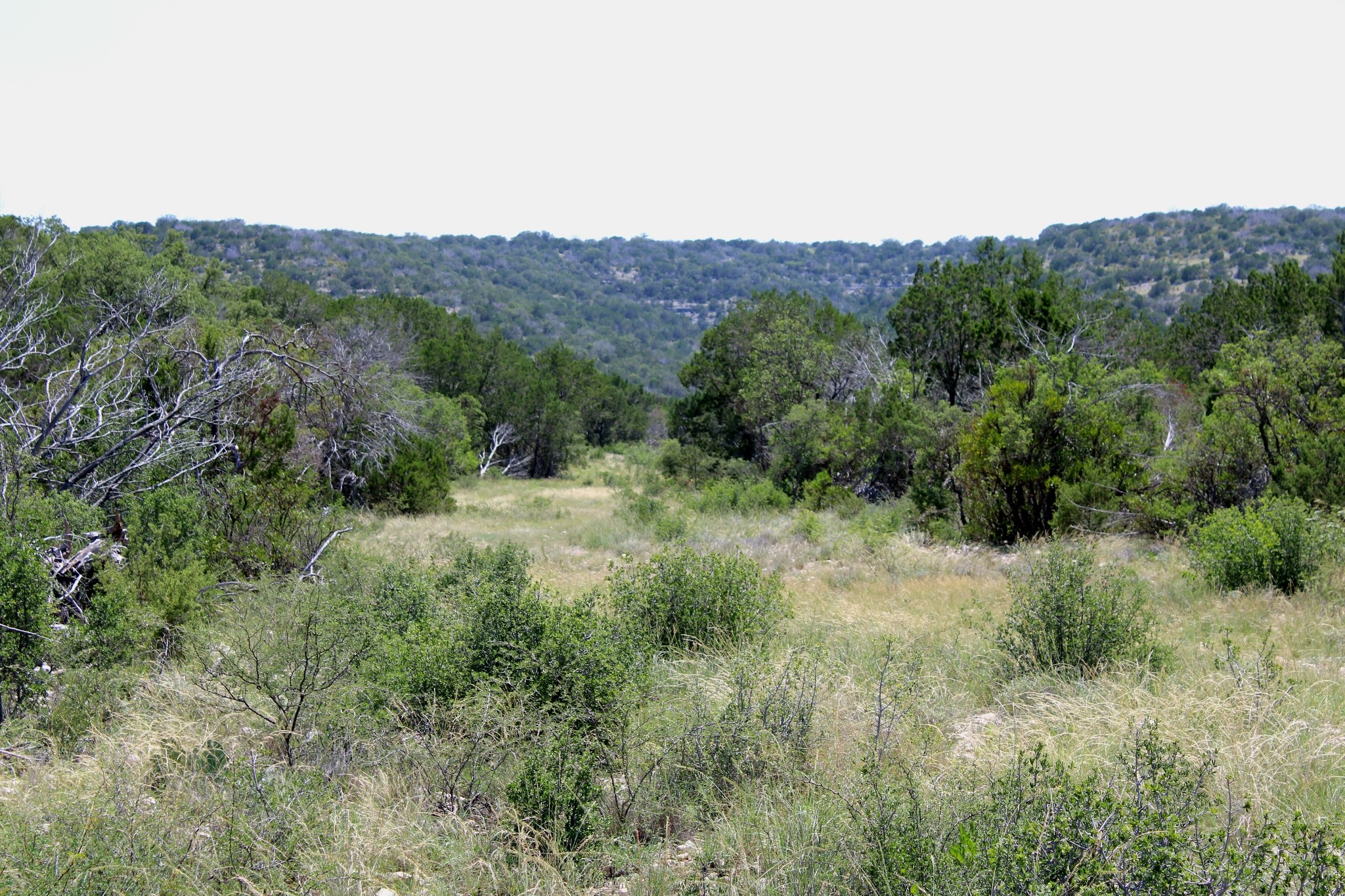 2519 Widmark Road Comstock, TX 78837 - Photo 42 of 48