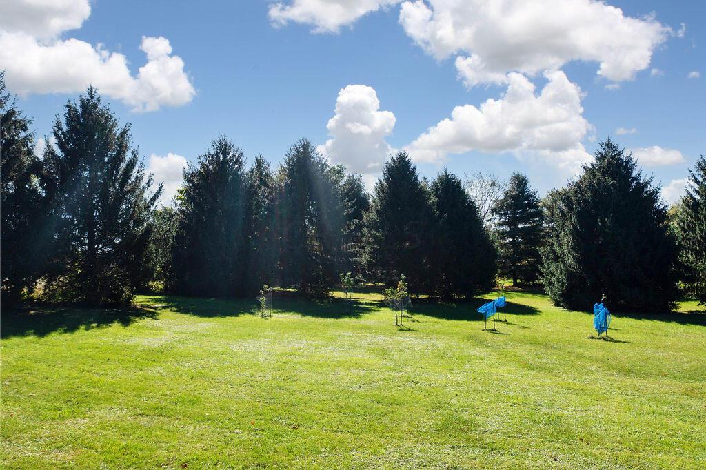 5220 Lobdell Road Alexandria, OH 43001 - Photo 46 of 64 Gallery Image 46