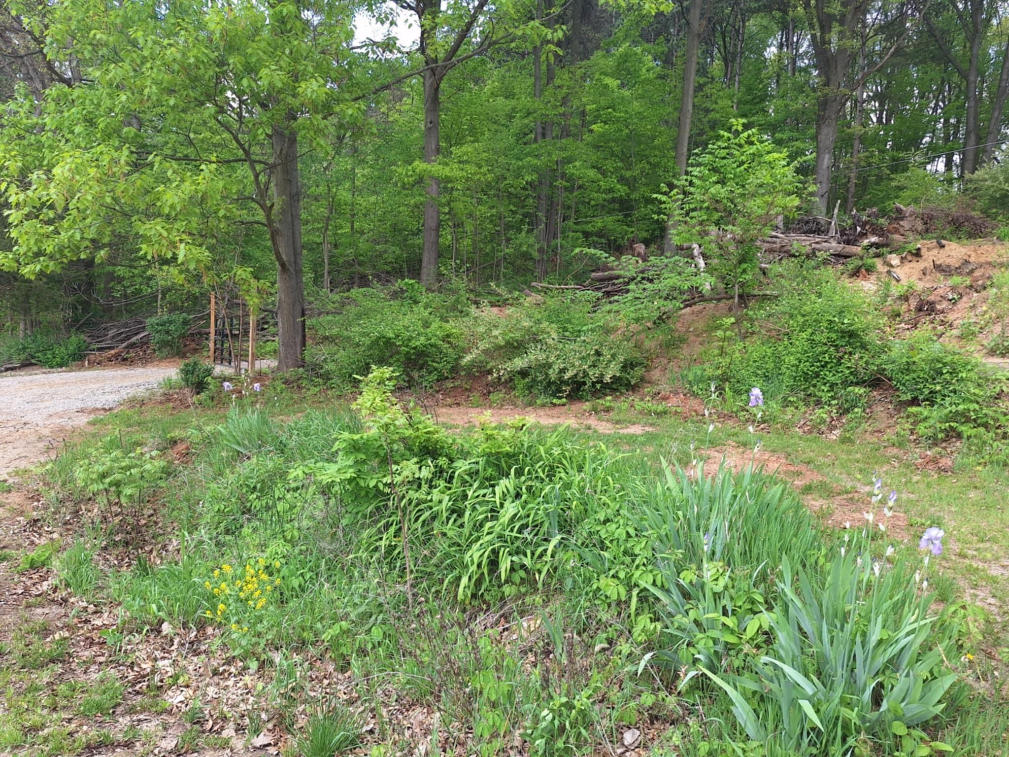 5211 Long Lake Road Reading, MI 49274 - Photo 73 of 98 att.h_b0o8R0bf28Imlfr3Vp1aSvB982F2AnAkOM