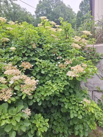 $865,000 | 5211 Long Lake Road, Reading, MI 49274