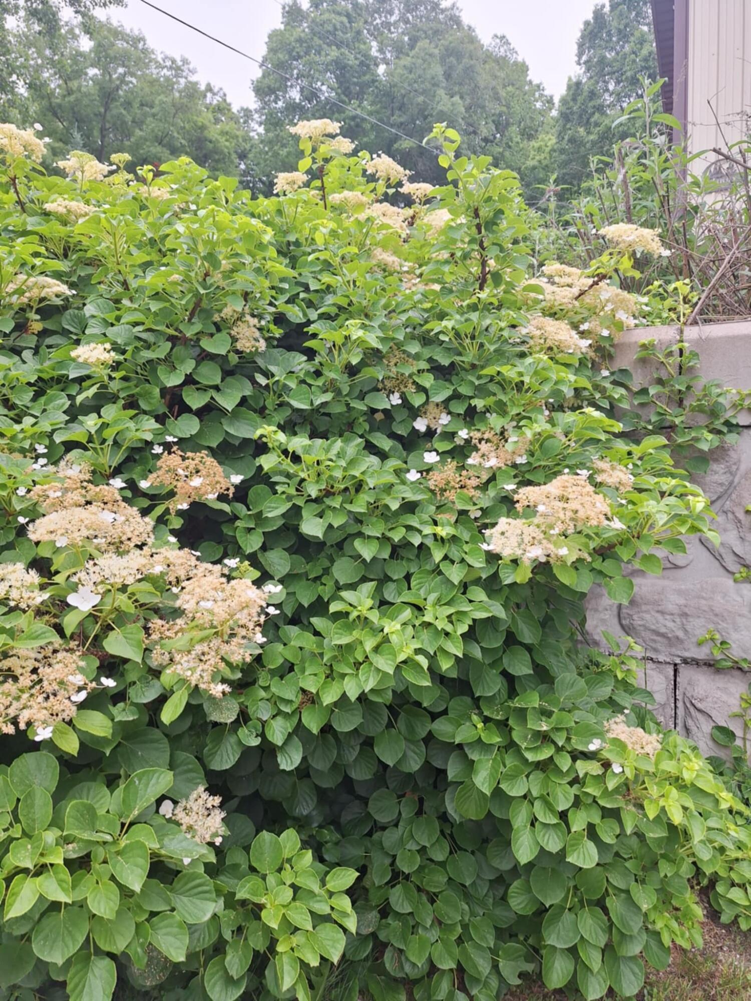 5211 Long Lake Road Reading, MI 49274 - Photo 80 of 98 att.0n0olGFbL6E2d6cq1WuWvfFRU2KFuQ2DsUbS