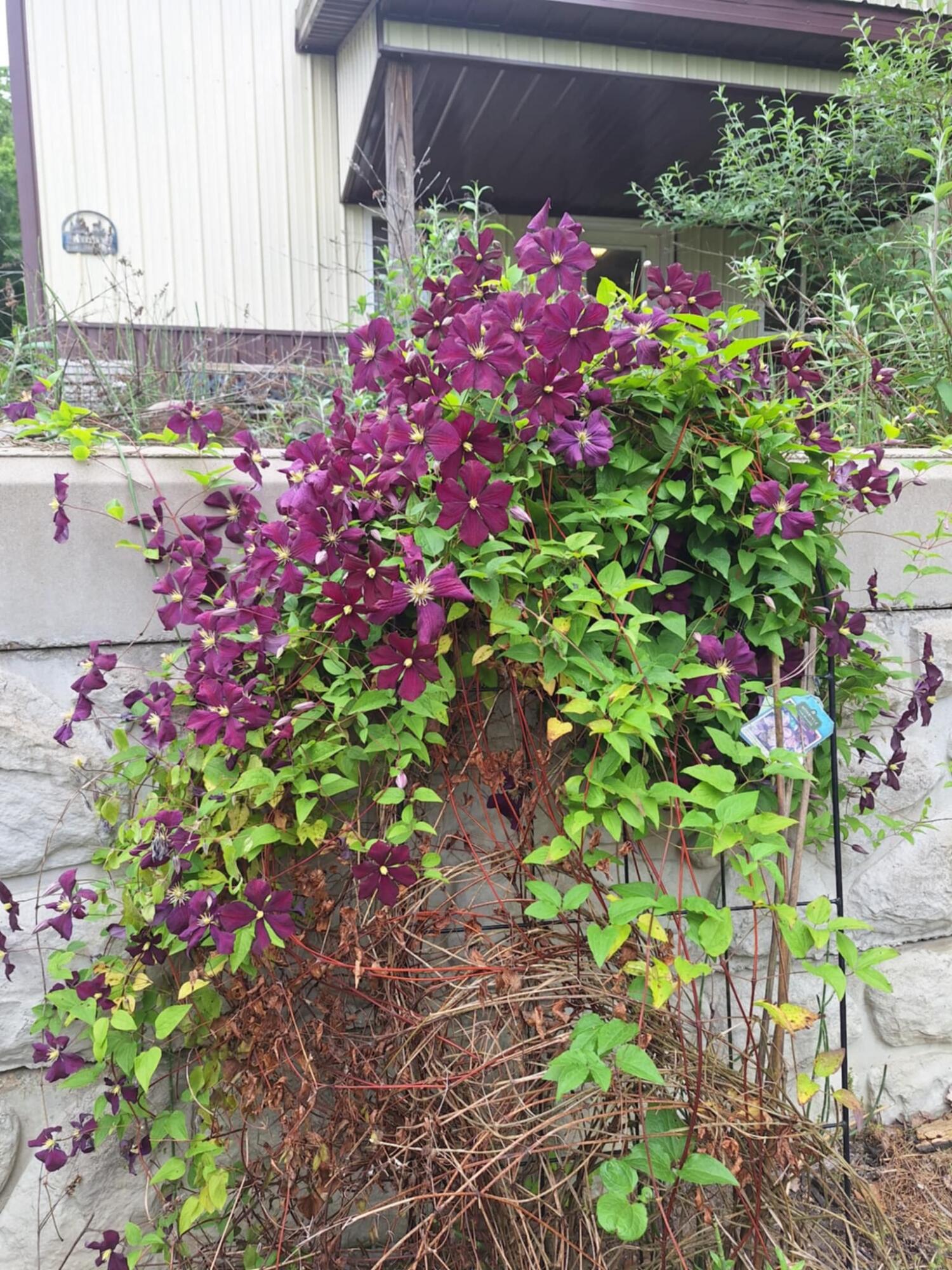 5211 Long Lake Road Reading, MI 49274 - Photo 82 of 98 att._WiWXwZEvnqVylc7Mna6yZjM2ddO6aZfZg4v