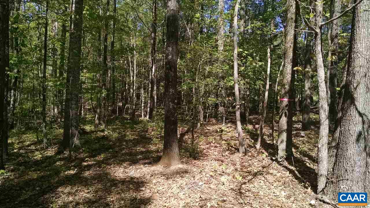 2 Three Three Chopt Road Kents Store, VA 23084 - Photo 1 of 1 a view of a forest with lots of trees