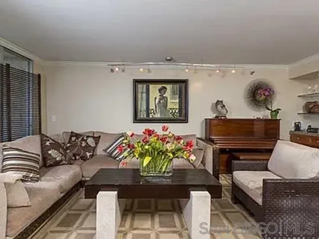 a living room with furniture and a potted plant