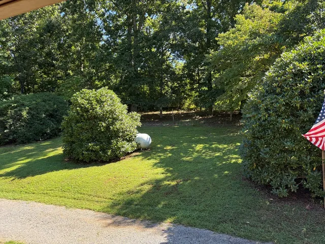 a view of a garden with large trees