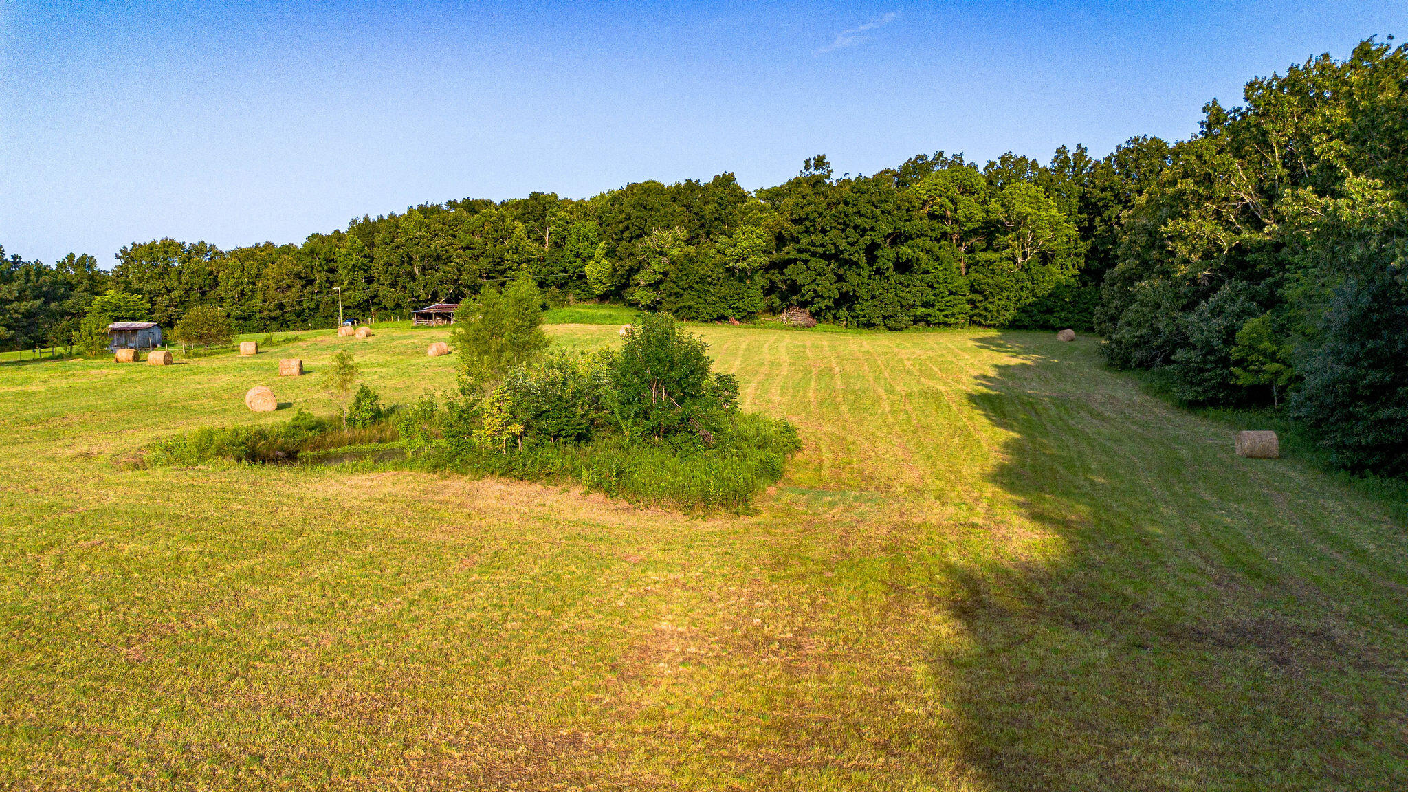 412 New Harmony Road Benton, KY 42025 - Photo 2 of 22 Back of 5 acres with both tracts