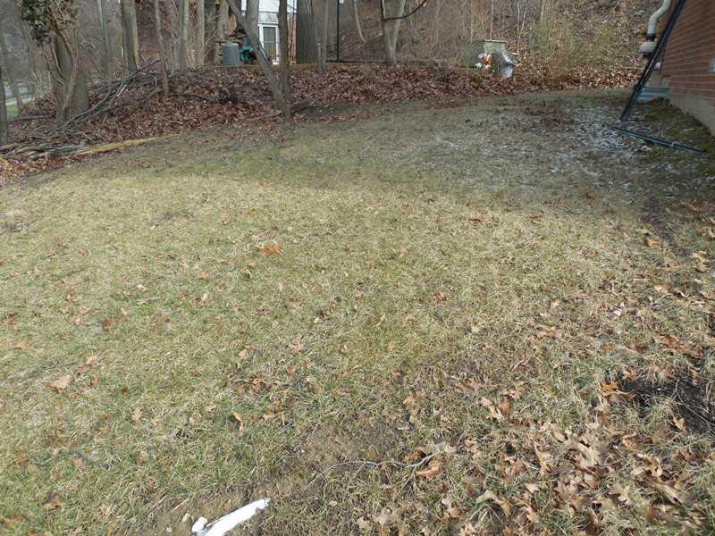 1000 Segar Road Mt. Lebanon, PA 15243 - Photo 25 of 25 Yard/Garden. All of this and the location within Mt. Lebanon and its award winning school district ranked #1 by the Pittsburgh Business Times. This one is PERFECTION PLUS!