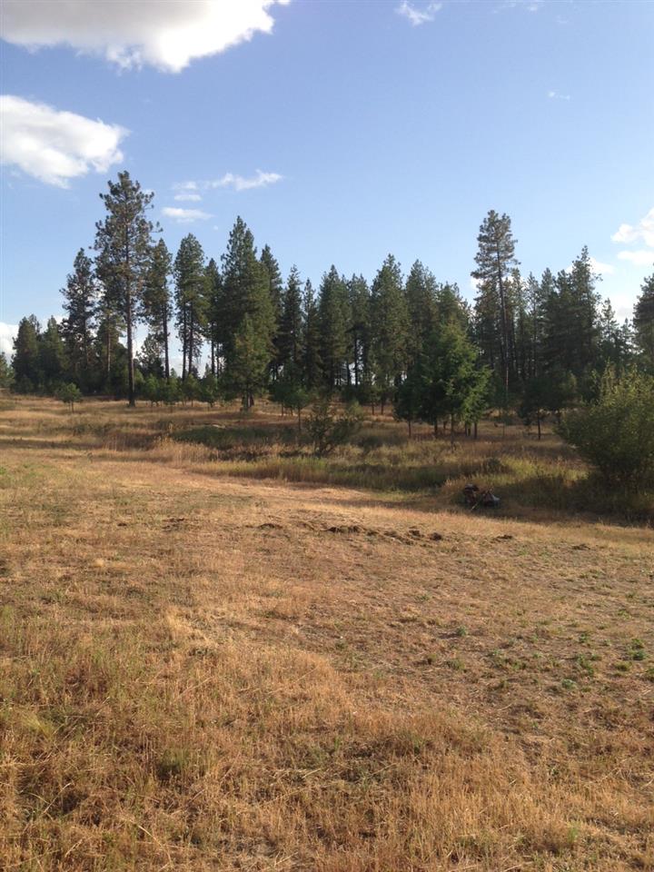 1705 West Wild Rose Road Colbert, WA 99005 - Photo 4 of 14