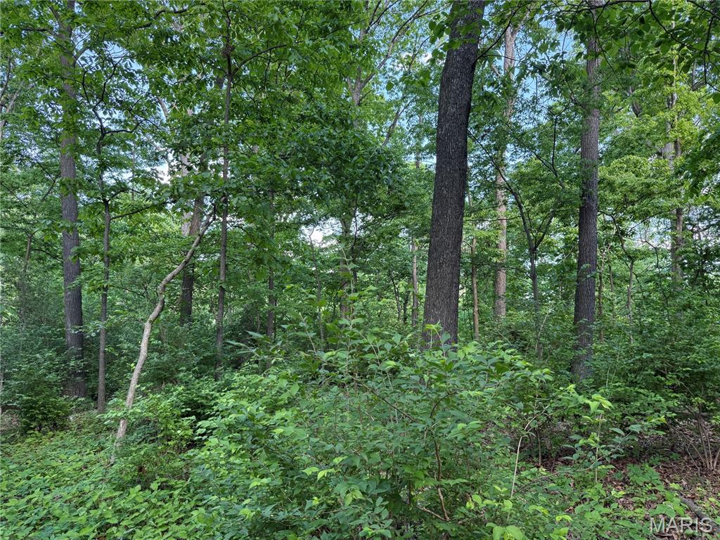 4157 Wetzler Road Fults, IL 62244 - Photo 46 of 48