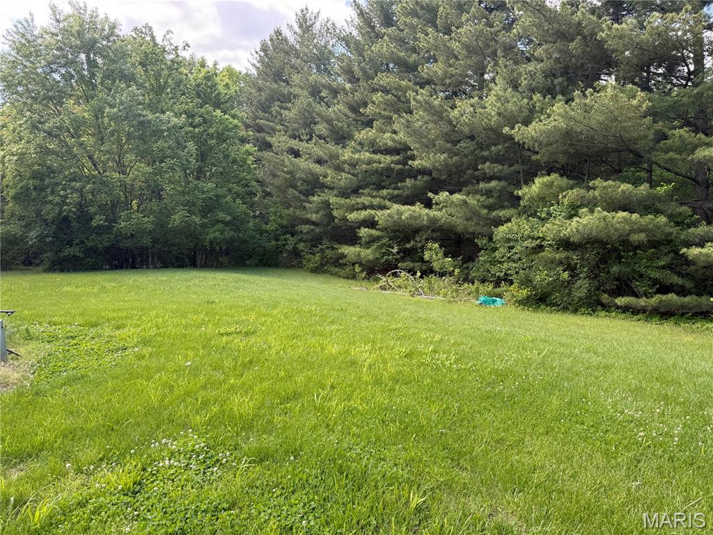 4157 Wetzler Road Fults, IL 62244 - Photo 10 of 48