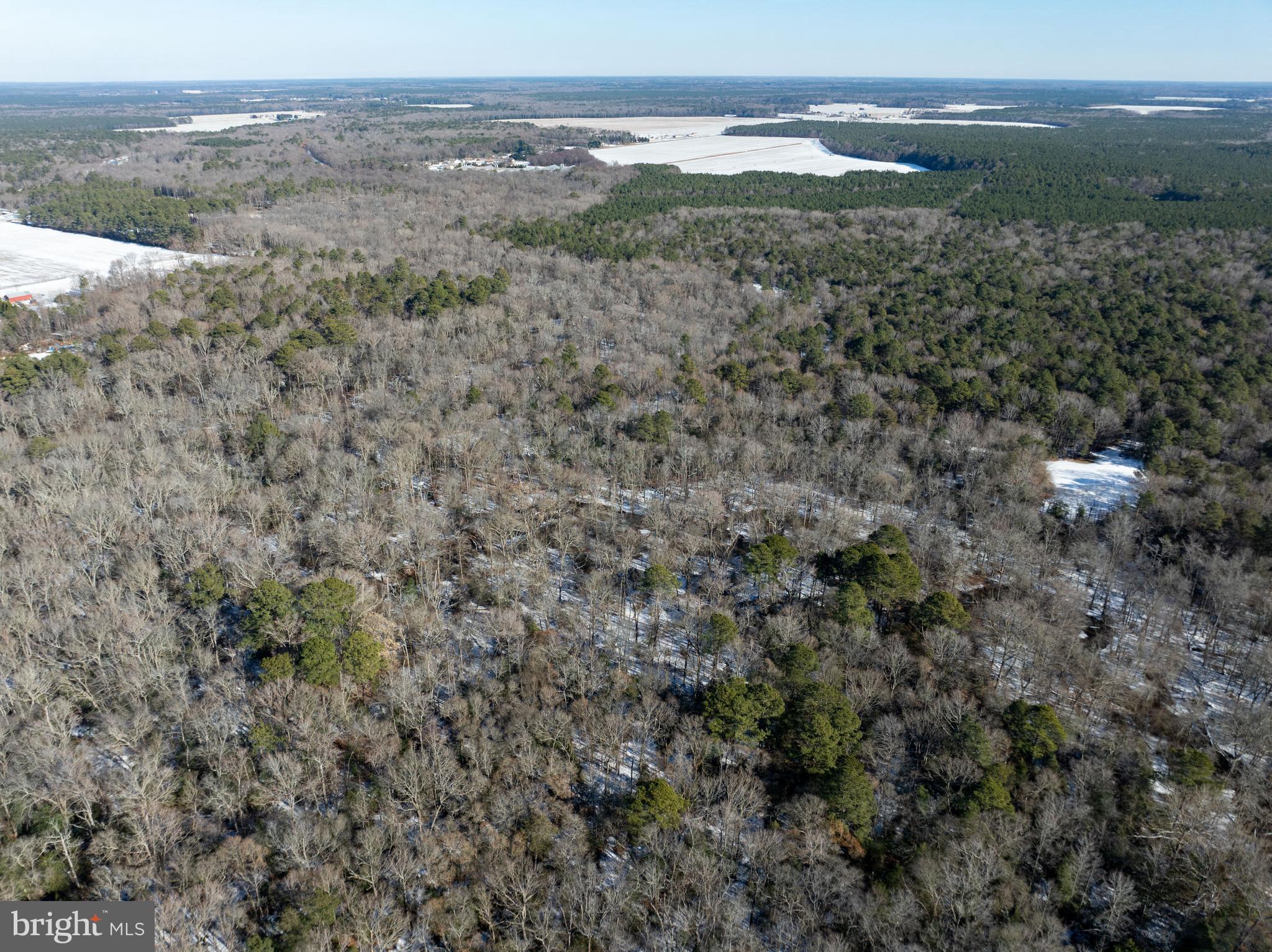 0 Rt 524 Georgetown, DE 19947 - Photo 15 of 22 a view of a field with an ocean view