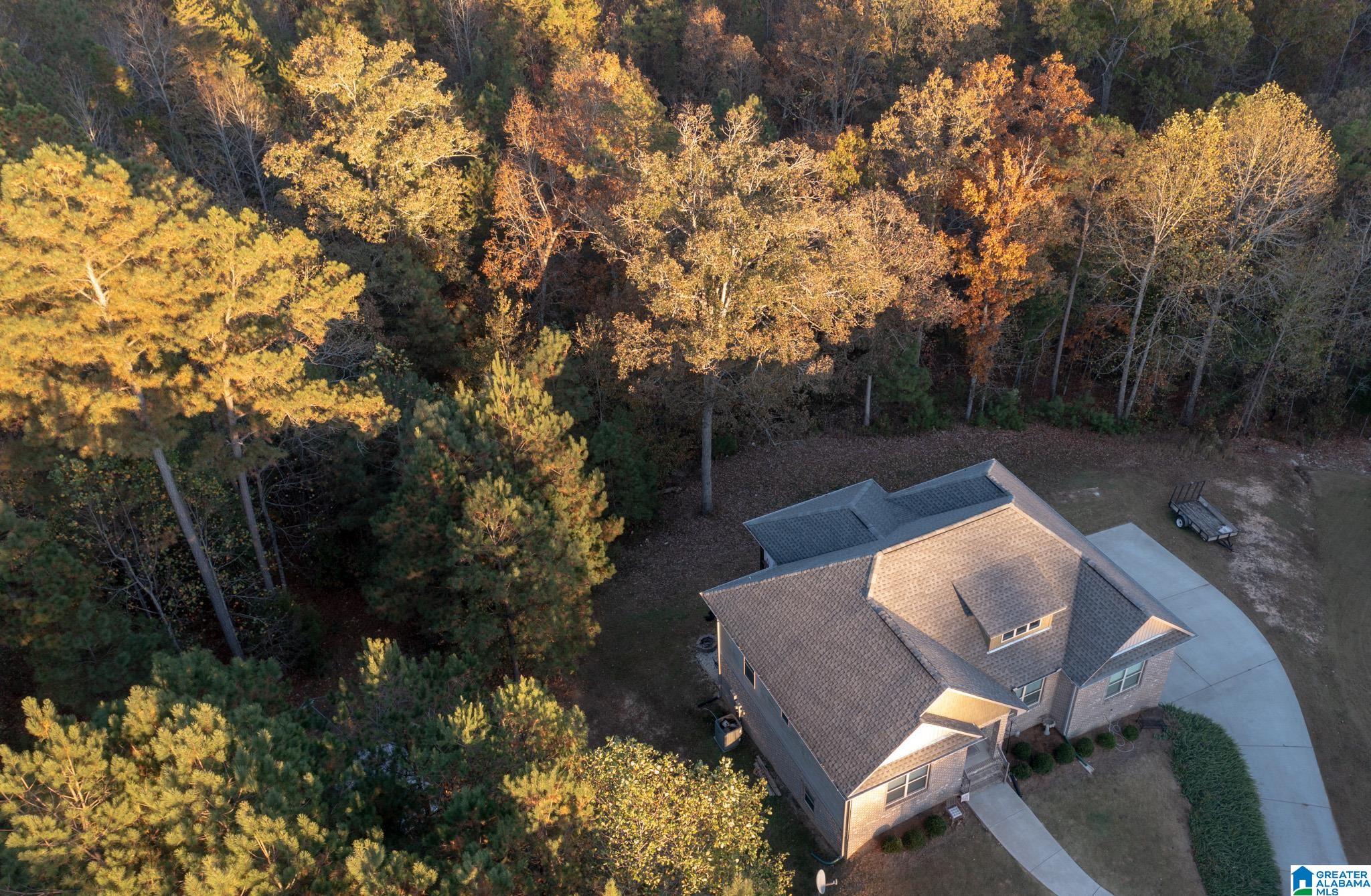 247 Kingbird Lane Remlap, AL 35133 - Photo 8 of 36