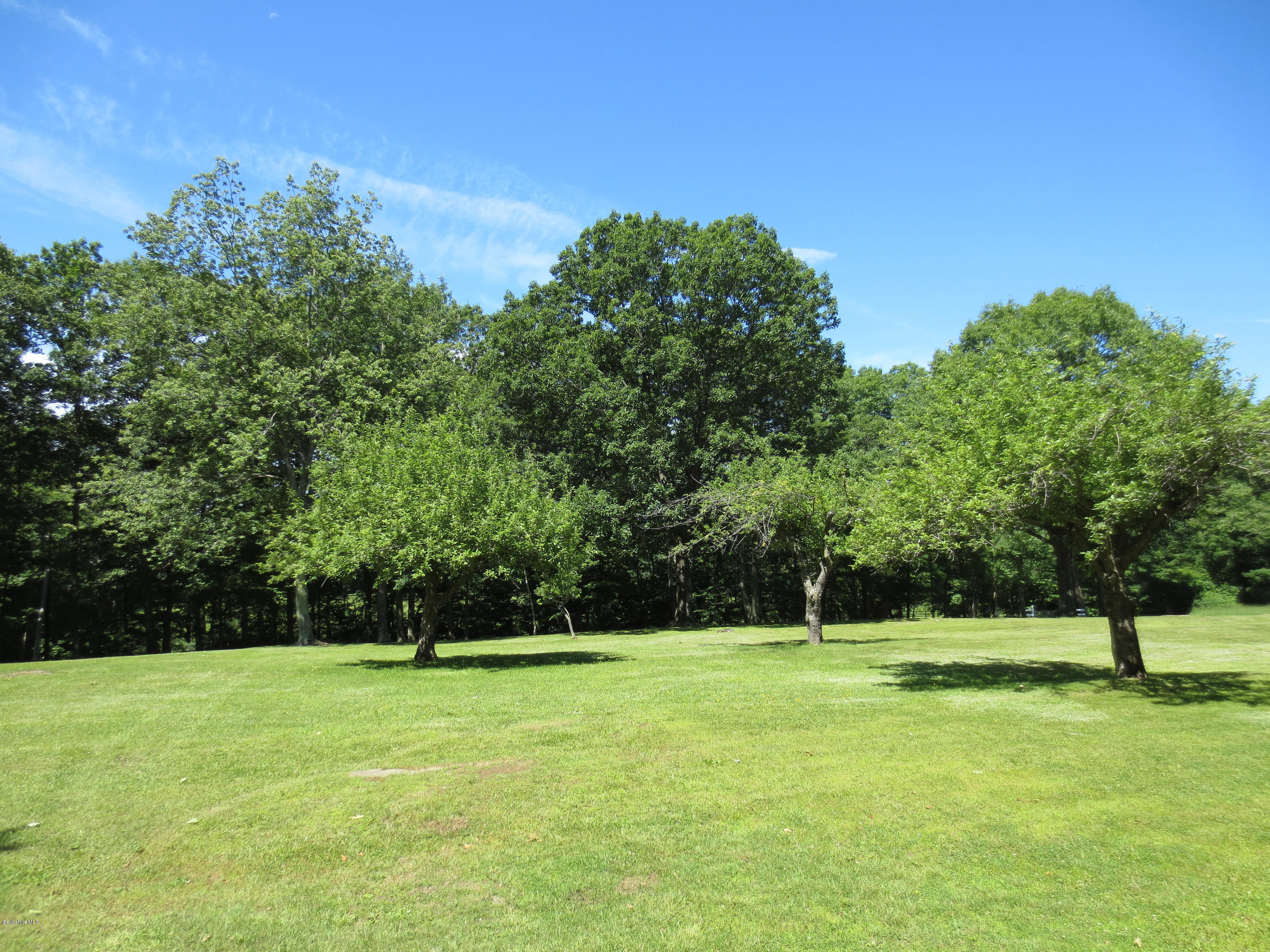 117 Bromley Road Chester, MA 01050 - Photo 5 of 17 a view of a green field with wooden fence