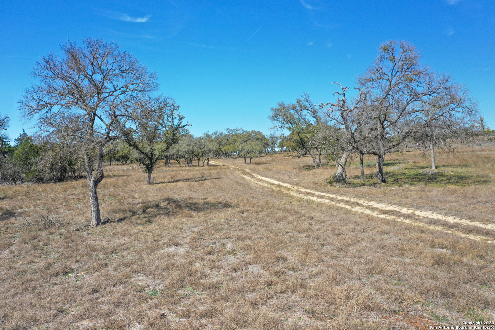 Tbd Clearwater Canyon Ranch Bandera, TX 78003 - Photo 9 of 12 a view of a dry yard with trees