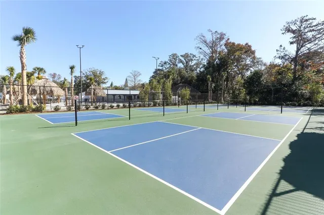 a view of tennis court