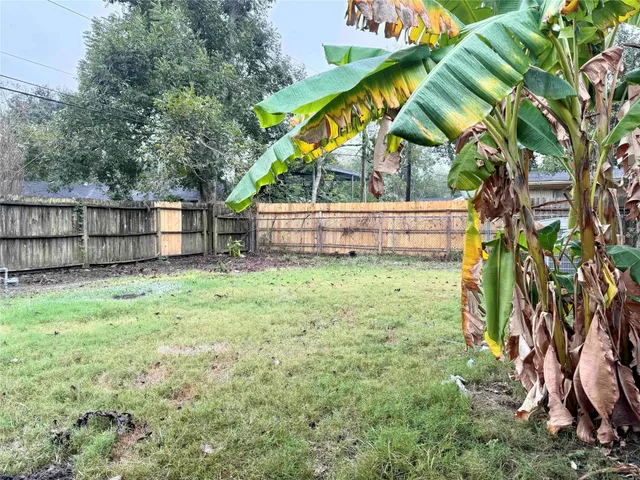 a view of backyard with small cabin