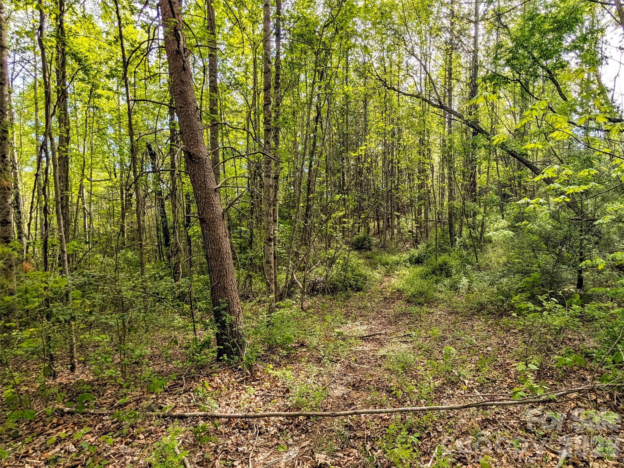 99999 Weldon Way Fairview, NC 28730 - Photo 1 of 34