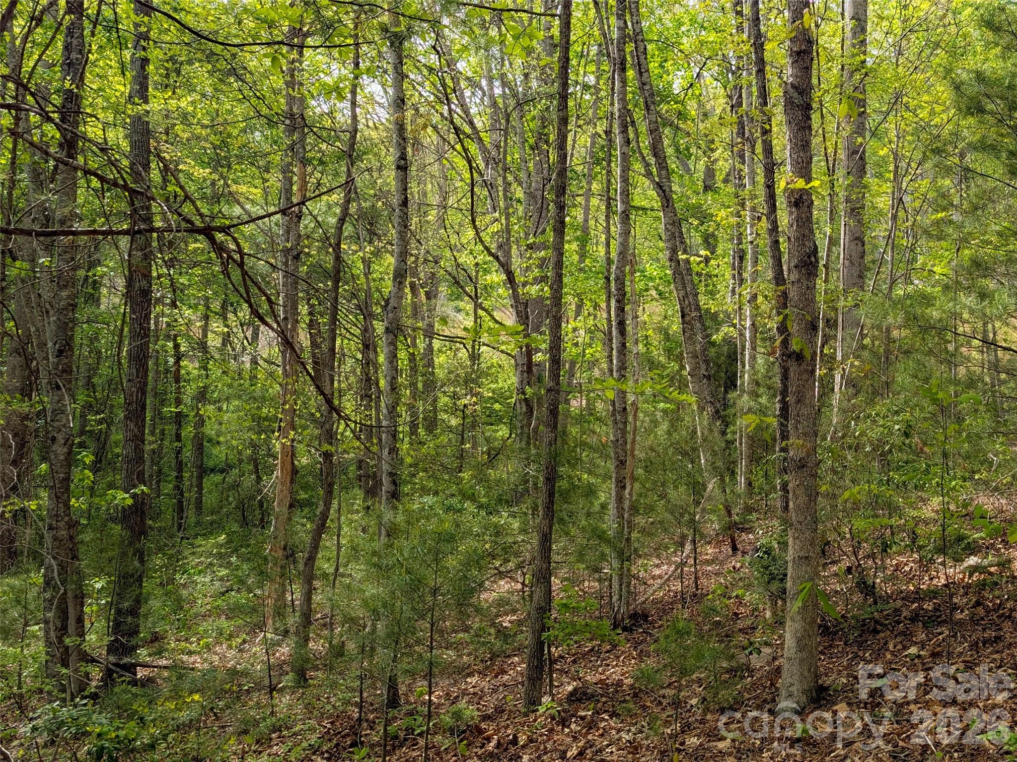 99999 Weldon Way Fairview, NC 28730 - Photo 11 of 34