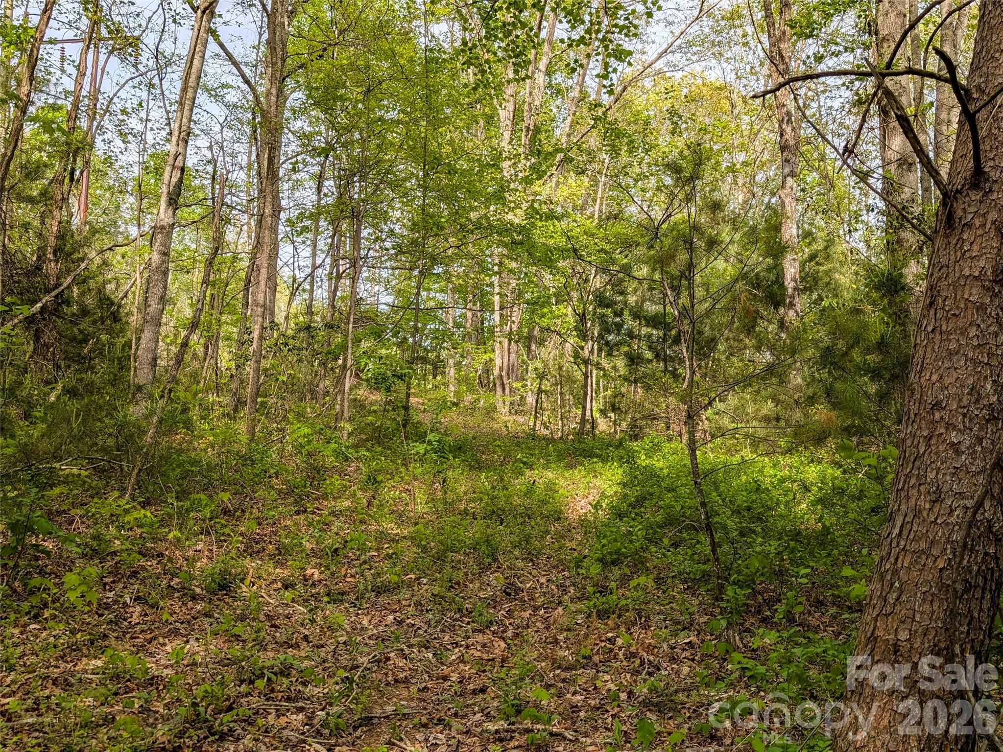 99999 Weldon Way Fairview, NC 28730 - Photo 12 of 34